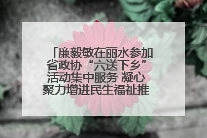 廉毅敏在丽水参加省政协“六送下乡”活动集中服务 凝心聚力增进民生福祉推进共同富裕