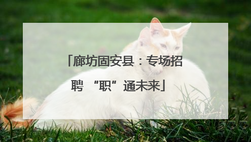 廊坊固安县：专场招聘 “职”通未来