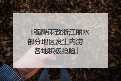 强降雨致浙江丽水部分地区发生内涝 各地积极抢险