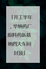 开工半年，华纳药厂原料药新基地四大车间封顶