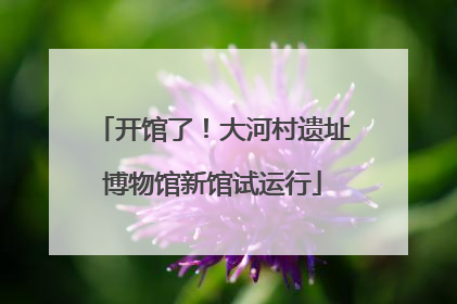 开馆了！大河村遗址博物馆新馆试运行