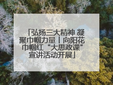 弘扬三大精神 凝聚巾帼力量丨向阳花巾帼红“大思政课”宣讲活动开展