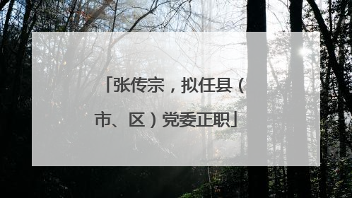 张传宗，拟任县（市、区）党委正职