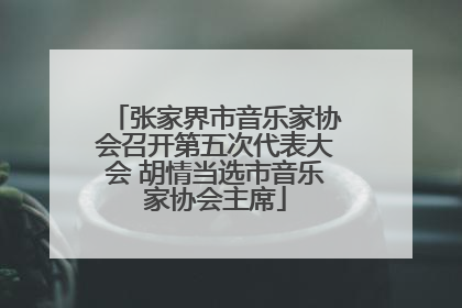 张家界市音乐家协会召开第五次代表大会 胡情当选市音乐家协会主席