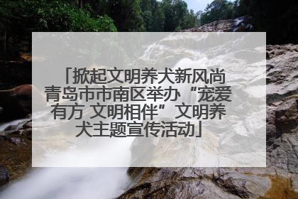 掀起文明养犬新风尚 青岛市市南区举办“宠爱有方 文明相伴”文明养犬主题宣传活动