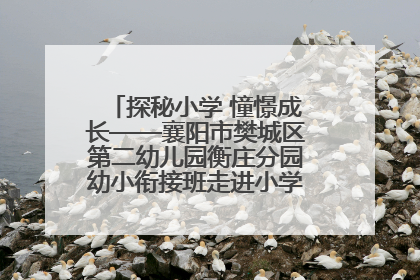 探秘小学 憧憬成长——襄阳市樊城区第二幼儿园衡庄分园幼小衔接班走进小学开展参观体验活动