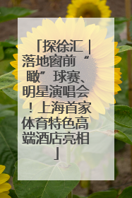 探徐汇｜落地窗前“瞰”球赛、明星演唱会！上海首家体育特色高端酒店亮相