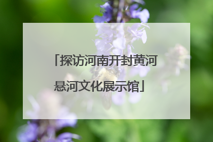 探访河南开封黄河悬河文化展示馆