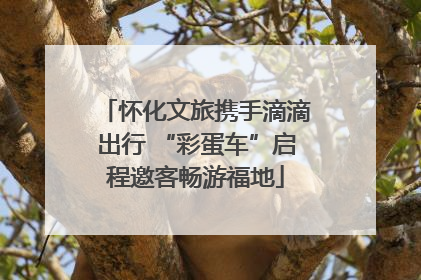 怀化文旅携手滴滴出行 “彩蛋车”启程邀客畅游福地