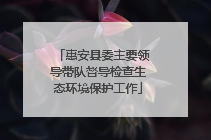 惠安县委主要领导带队督导检查生态环境保护工作