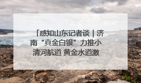 感知山东记者谈｜济南“真金白银”力推小清河航道 黄金水道激活区域经济新动能