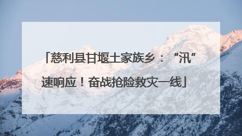 慈利县甘堰土家族乡：“汛”速响应！奋战抢险救灾一线