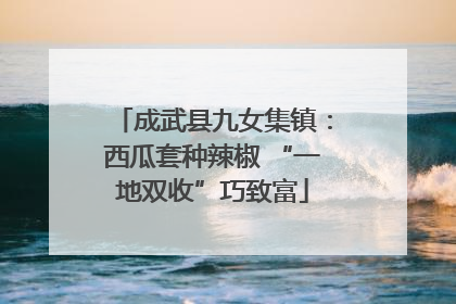成武县九女集镇：西瓜套种辣椒 “一地双收”巧致富