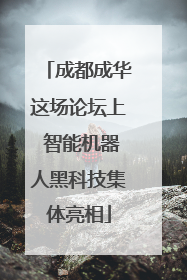 成都成华这场论坛上 智能机器人黑科技集体亮相