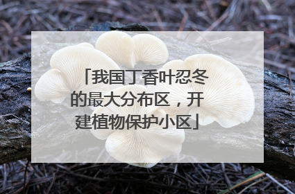 我国丁香叶忍冬的最大分布区，开建植物保护小区
