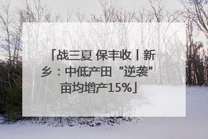 战三夏 保丰收丨新乡：中低产田“逆袭” 亩均增产15%