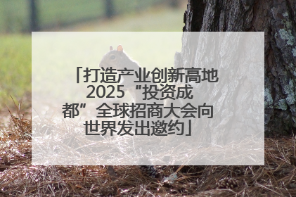 打造产业创新高地 2025“投资成都”全球招商大会向世界发出邀约
