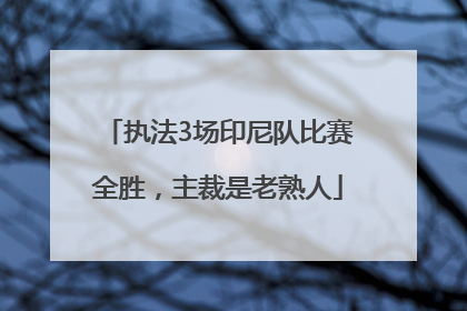 执法3场印尼队比赛全胜，主裁是老熟人