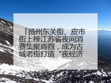 扬州东关街、皮市街上榜江苏省夜间消费集聚商圈，成为古城老街打造“夜经济”的样本