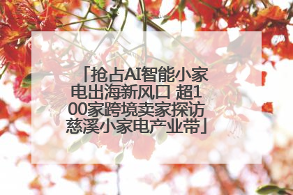 抢占AI智能小家电出海新风口 超100家跨境卖家探访慈溪小家电产业带