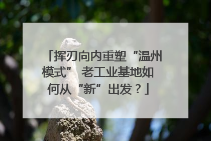 挥刃向内重塑“温州模式” 老工业基地如何从“新”出发？