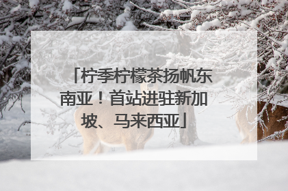 柠季柠檬茶扬帆东南亚！首站进驻新加坡、马来西亚