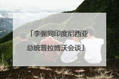 李强同印度尼西亚总统普拉博沃会谈