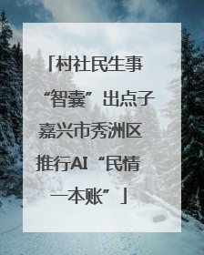 村社民生事 “智囊”出点子 嘉兴市秀洲区推行AI“民情一本账”