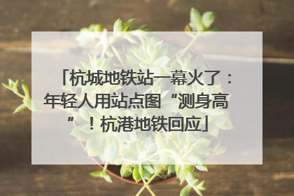 杭城地铁站一幕火了:年轻人用站点图“测身高”!杭港地铁回应