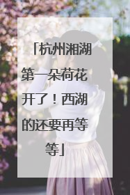 杭州湘湖第一朵荷花开了！西湖的还要再等等