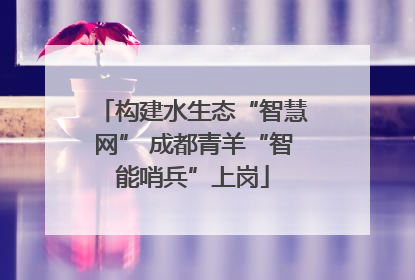 构建水生态“智慧网” 成都青羊“智能哨兵”上岗