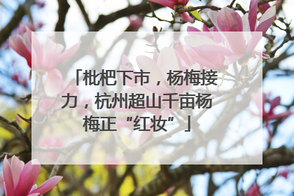 枇杷下市，杨梅接力，杭州超山千亩杨梅正“红妆”