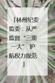 林州纪委监委：从严监督“三重一大” 护航权力规范