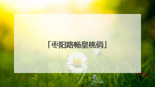枣阳路畅皇桃俏
