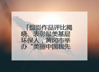 摄影作品评比揭晓、表彰最美基层环保人，黄冈市举办“美丽中国我先行”六五环境日主题宣传活动