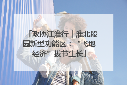 政协江淮行｜淮北段园新型功能区：“飞地经济”拔节生长