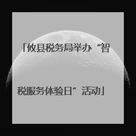 攸县税务局举办“智税服务体验日”活动