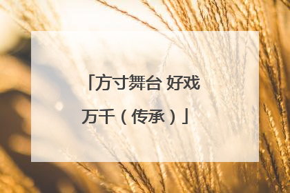 方寸舞台 好戏万千（传承）