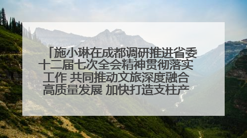 施小琳在成都调研推进省委十二届七次全会精神贯彻落实工作 共同推动文旅深度融合高质量发展 加快打造支柱产业民生产业幸福产业