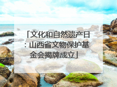 文化和自然遗产日：山西省文物保护基金会揭牌成立