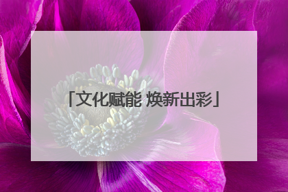 文化赋能 焕新出彩