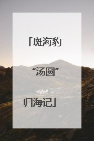 斑海豹“汤圆”归海记