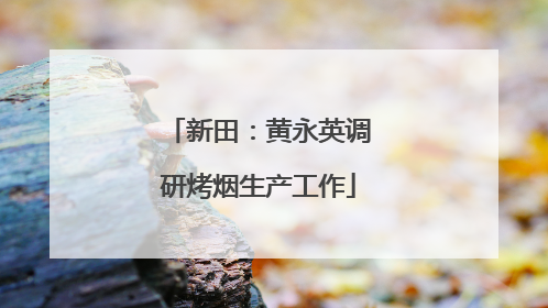 新田：黄永英调研烤烟生产工作
