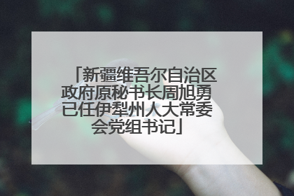 新疆维吾尔自治区政府原秘书长周旭勇已任伊犁州人大常委会党组书记