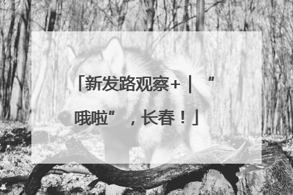 新发路观察+｜“哦啦”，长春！