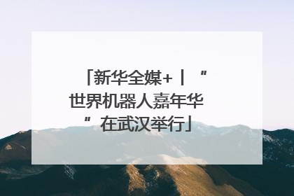 新华全媒+丨“世界机器人嘉年华”在武汉举行