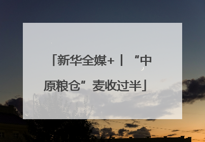 新华全媒+丨“中原粮仓”麦收过半