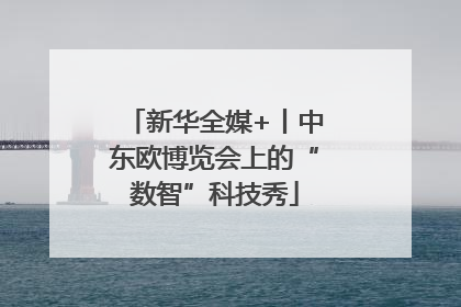 新华全媒+丨中东欧博览会上的“数智”科技秀