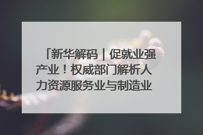 新华解码｜促就业强产业！权威部门解析人力资源服务业与制造业融合发展试点