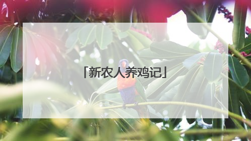 新农人养鸡记